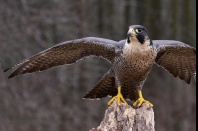 Standort Langenhagen