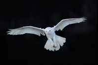 Hier finden Sie uns!